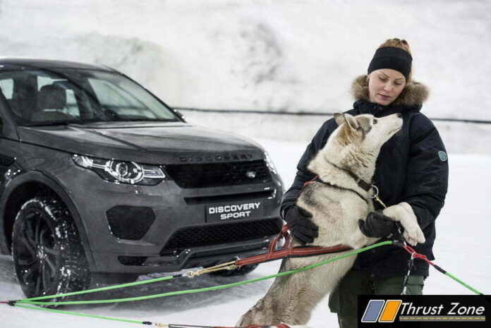 Land Rover _ Dog Power VS Horsepower in Discovery Sport Tunnel Challenge (1)