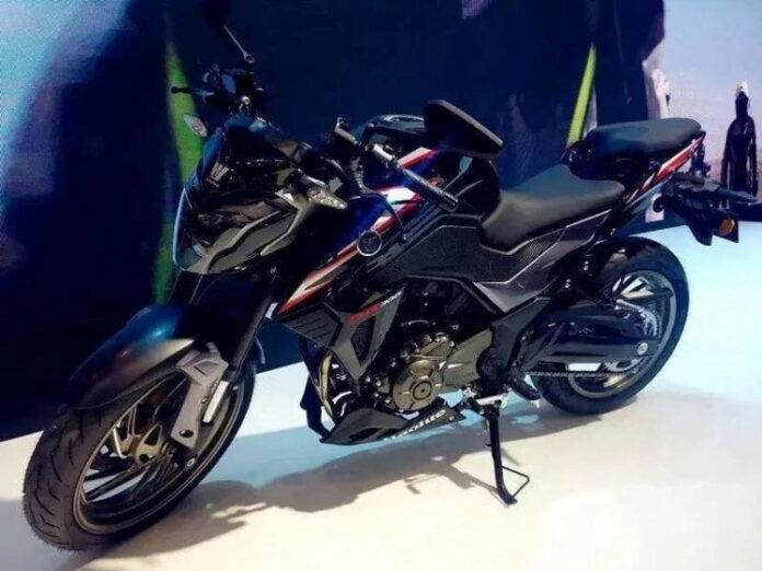 Suzuki GSX-S300 Naked (1)