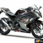 Kawasaki Ninja 300 ABS Colors 2020 (1)