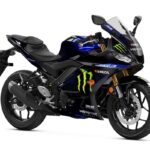 Yamaha-R3-Monster-energy-edition-2019 (2)