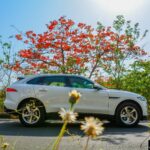 2019-Jaguar-F-Pace-Petrol-India-Prestige-Review- (9)