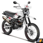 Hero XPulse 200 Rally Kit (2)