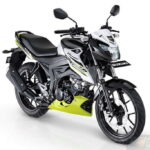 2020 Suzuki Bandit 150 (2)
