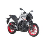 2020 Yamaha MT-25 (1)