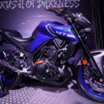 2020 Yamaha MT-25 (3)