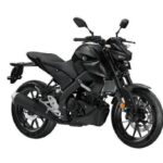 2021 Yamaha MT-125 (1)