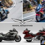 2021 Honda Goldwing Tour and GL1800 (6)