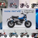 22YM HONDA MONKEY 125