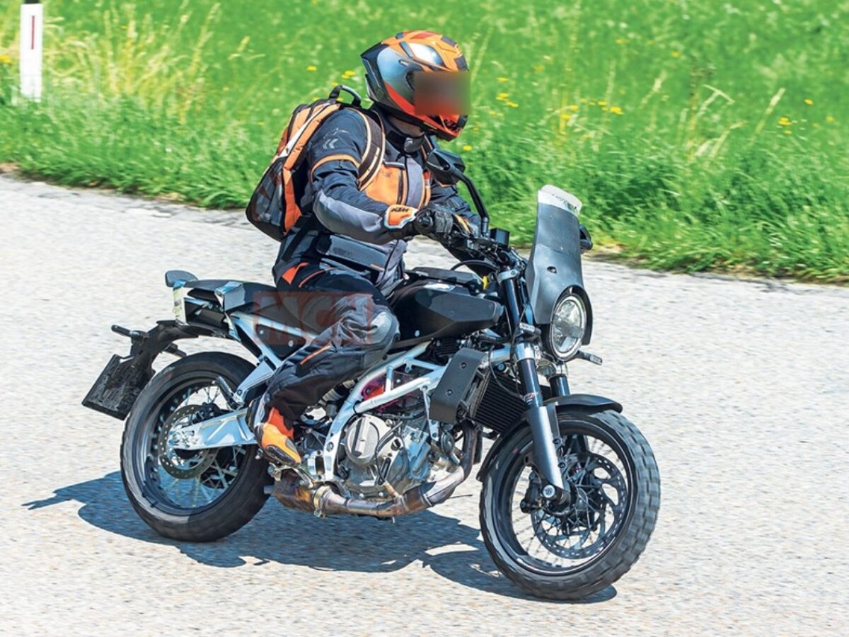 2022 Husqvarna Svartpilen 401 Spotted 
