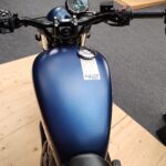 2024 Jawa 42 FJ Launched (12)