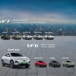 vinfast-india-launch-6-7 (1)