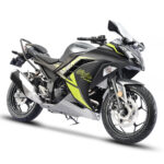 MY25 Kawasaki Ninja 300 India Launch Price Revealed
