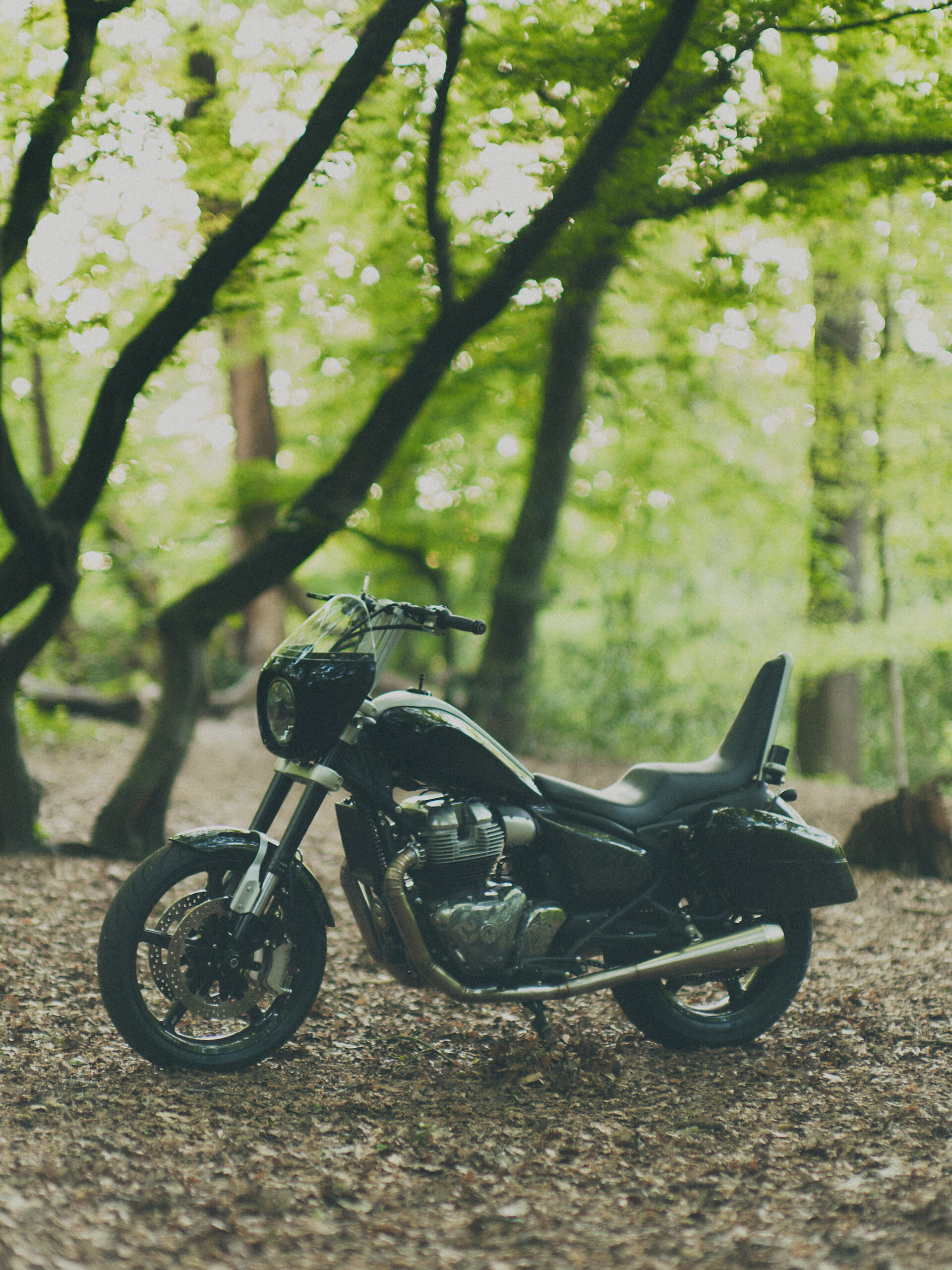 The Great Frog x Royal Enfield Image (1)