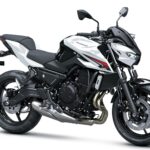 2026 - Z650 S -kawasaki-india (1)