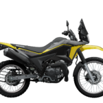 Honda XR300 Rally- True Black_Side